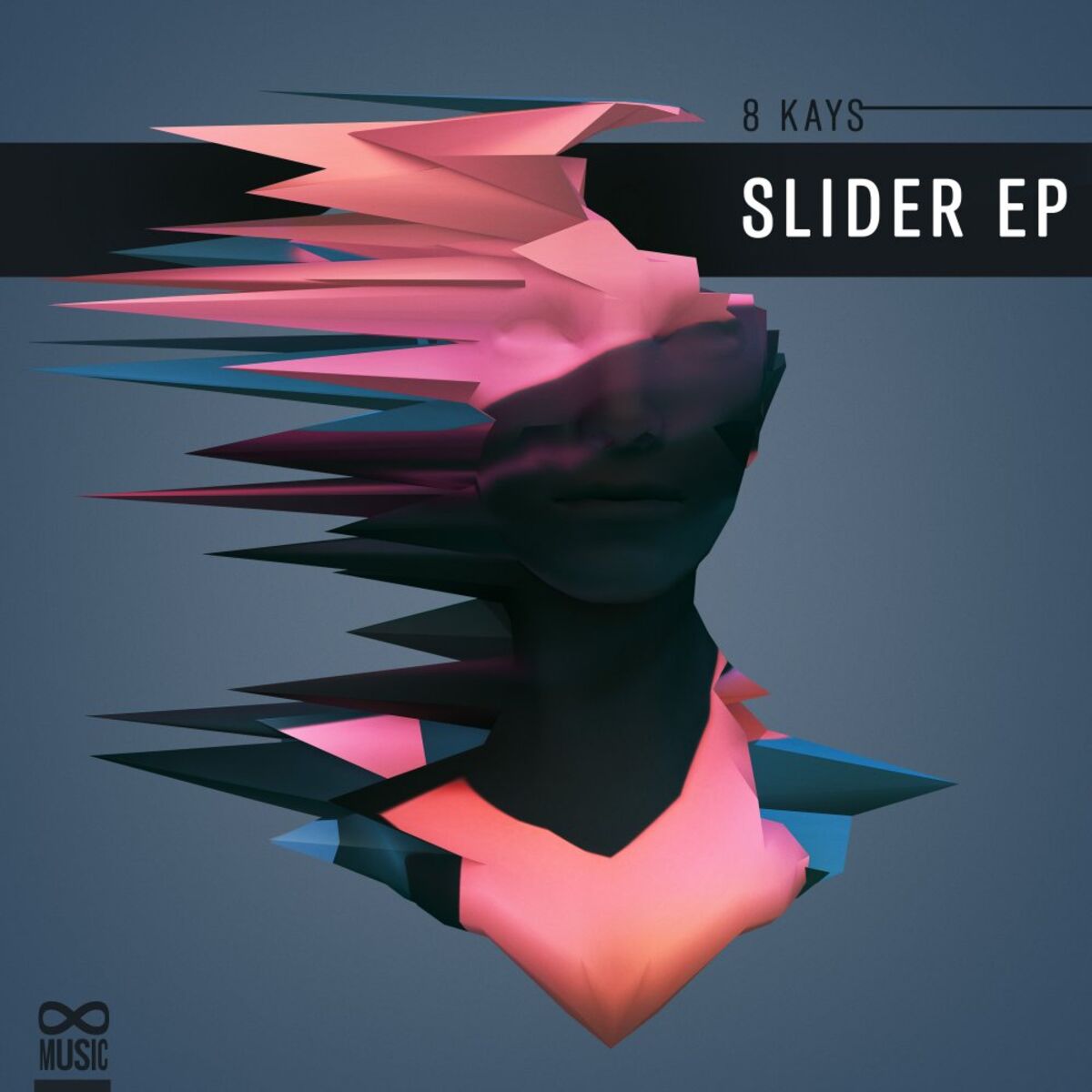 Album cover of Slider