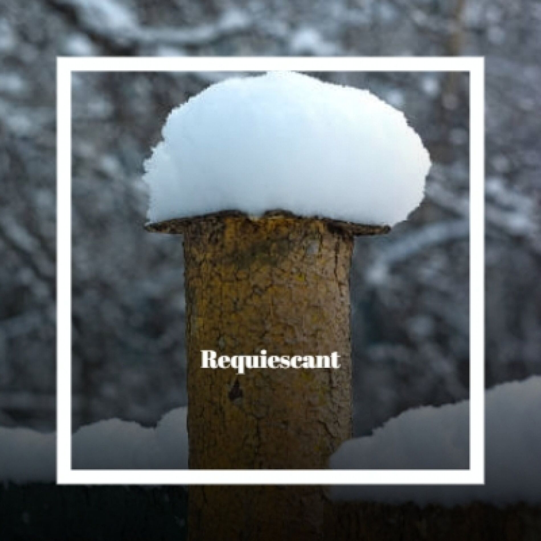 Album cover of Sukiyaki