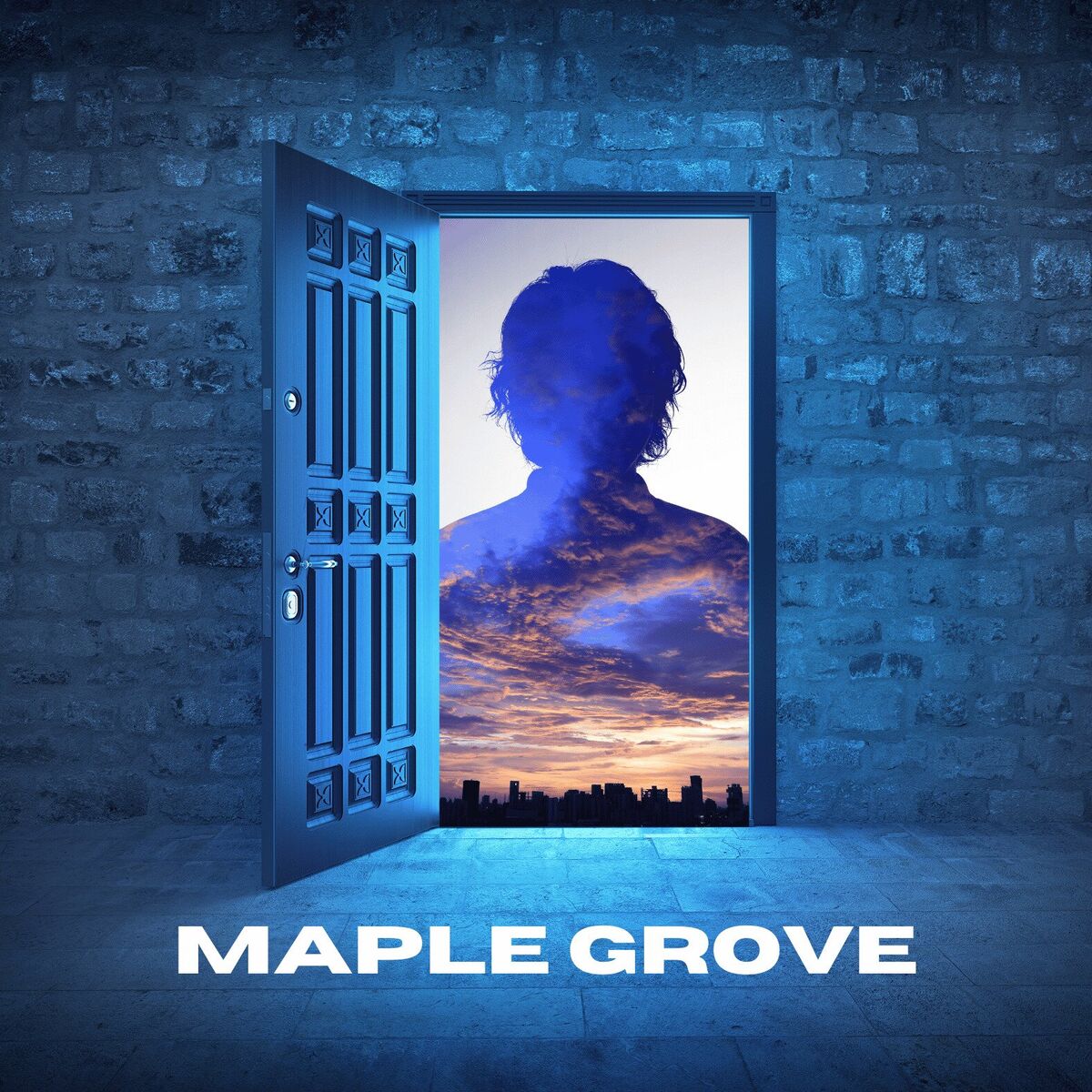 Album cover of MAPLE GROVE