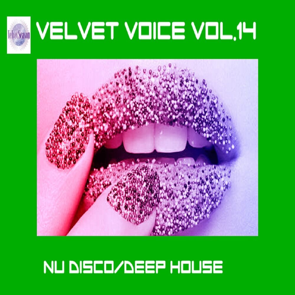 Picture of Velvet Voice VOL.14 [Nu Disco/Deep House]