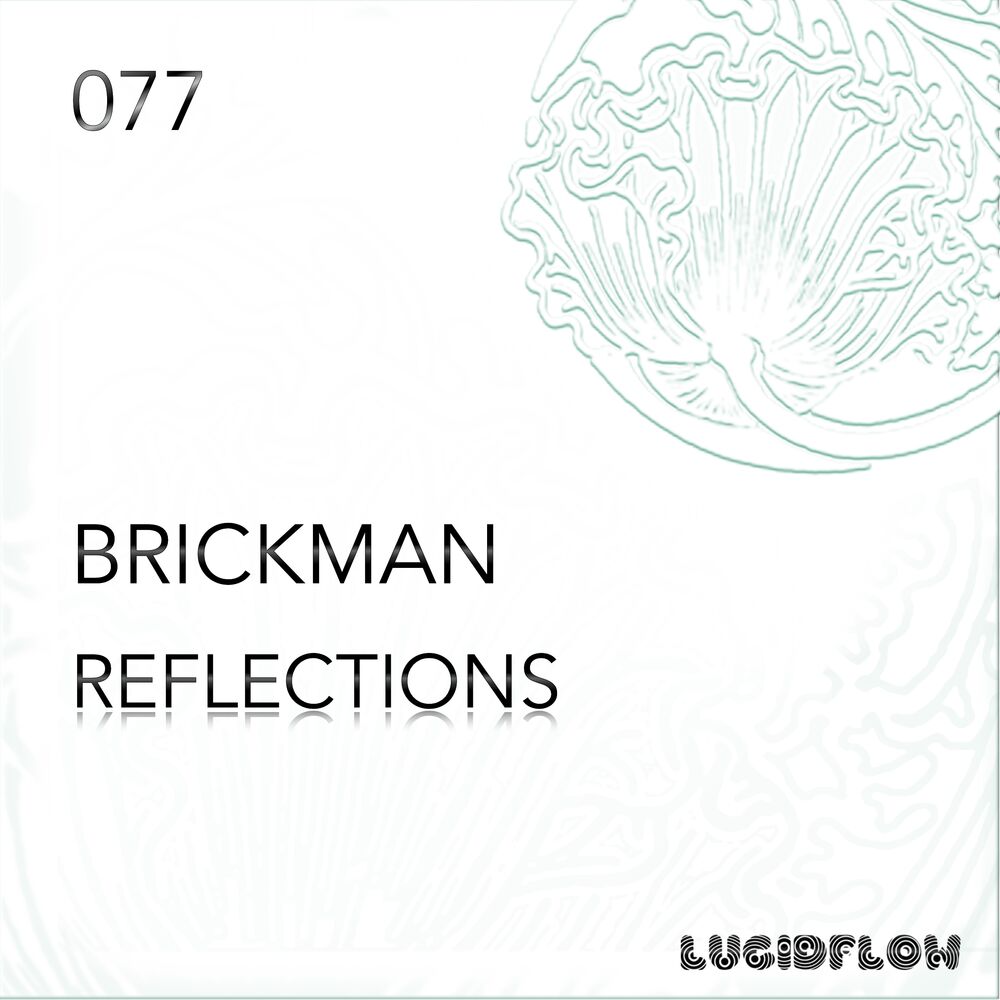 Picture of Reflections
