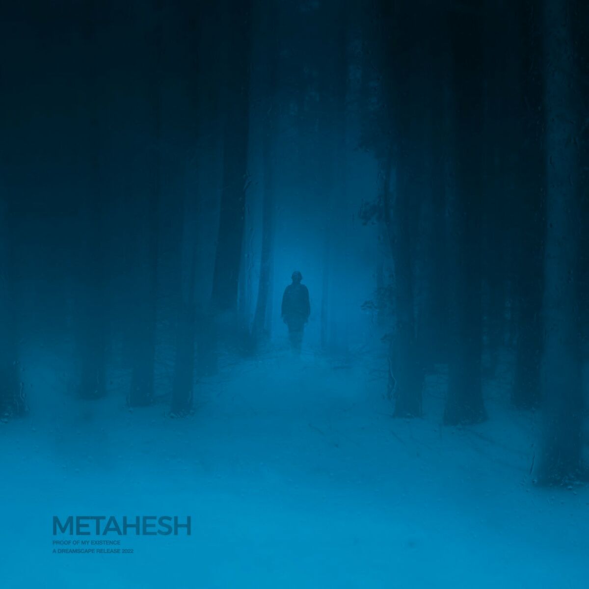Album cover of Proof of My Existence