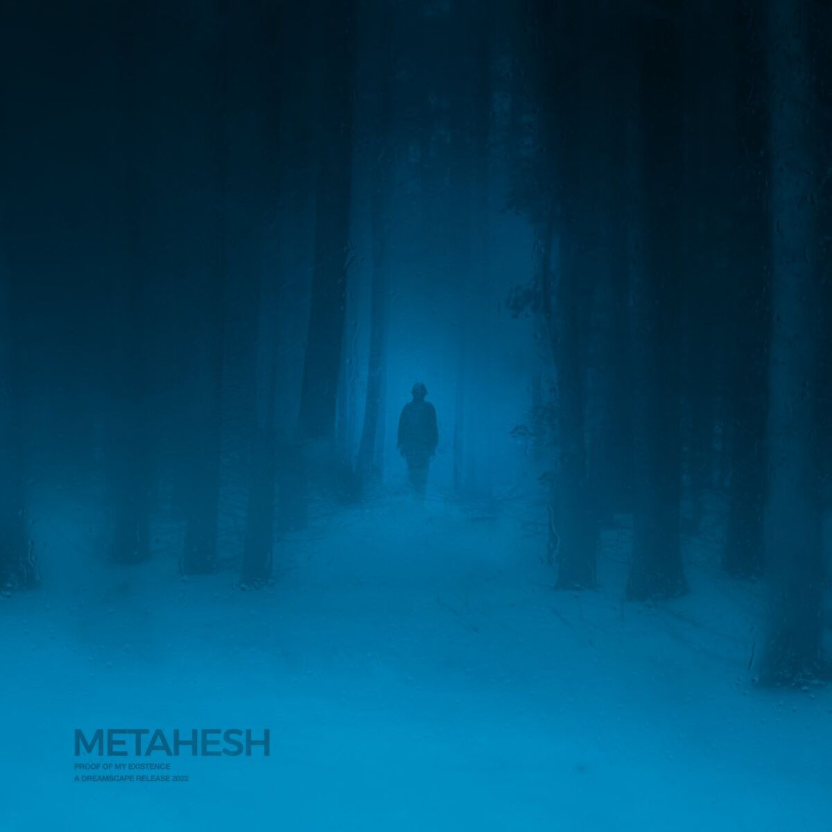 Album cover of Proof of My Existence