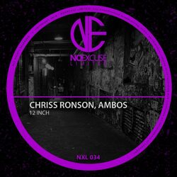 Cover of 12 Inch