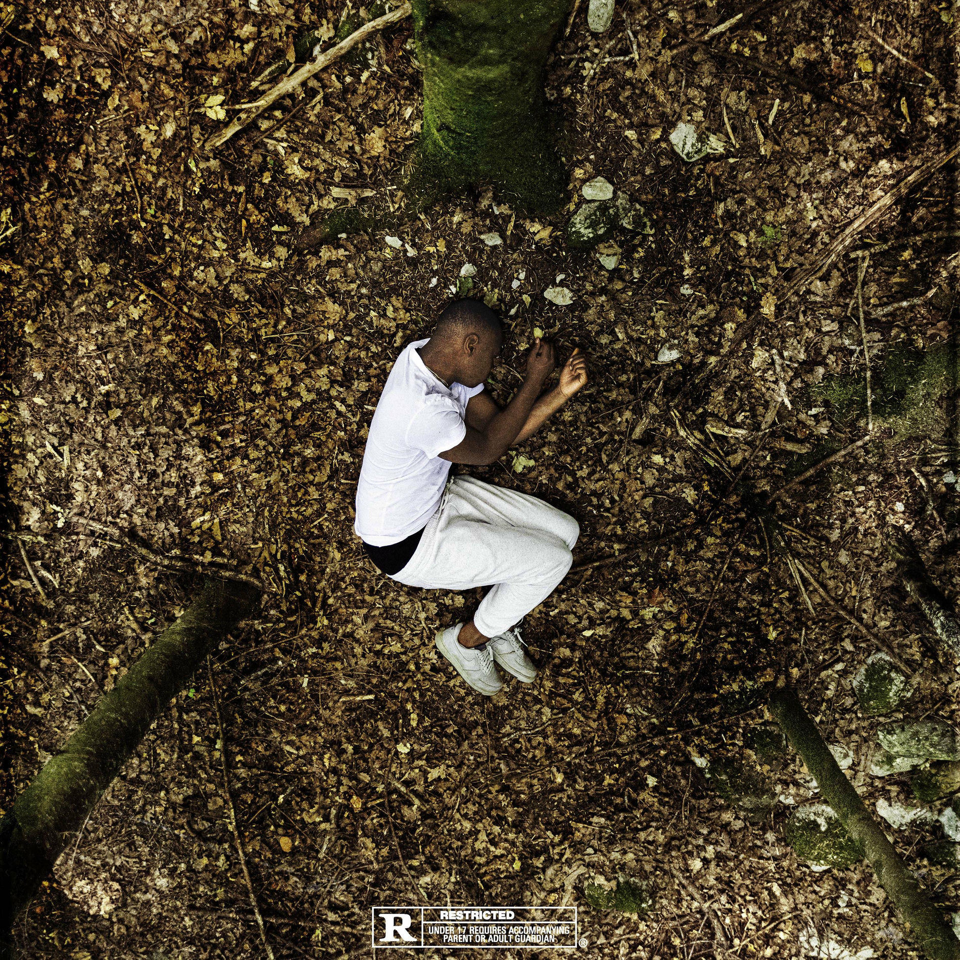 Album cover of Jeune loup