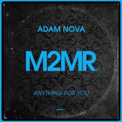 Cover of Anything For You