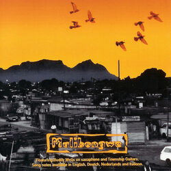 Cover of Malibongwe