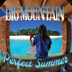 Cover of Perfect Summer