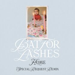 Cover of Home (Special Request Remix)