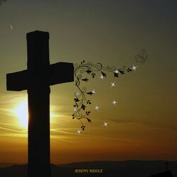 Cover of We Crown