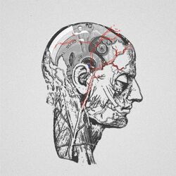 Cover of Unfixed Places