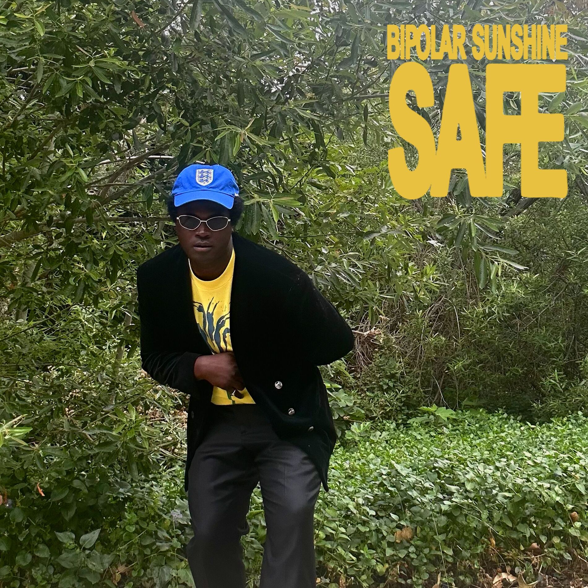 Album cover of Safe