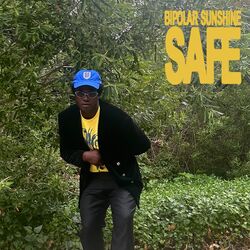 Cover of Safe