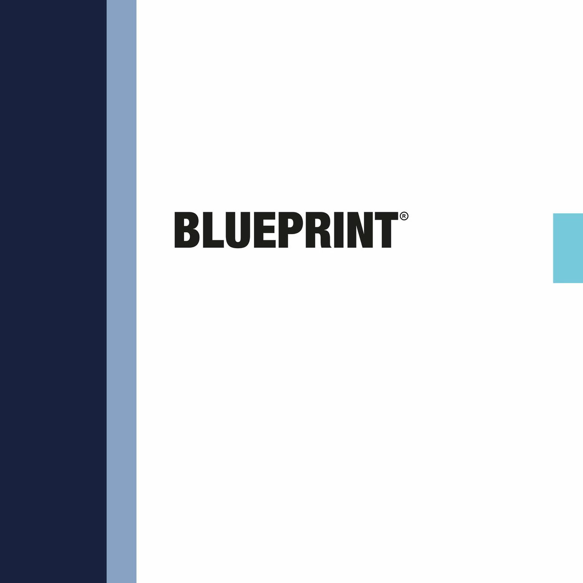 Album cover of BLUEPRINT