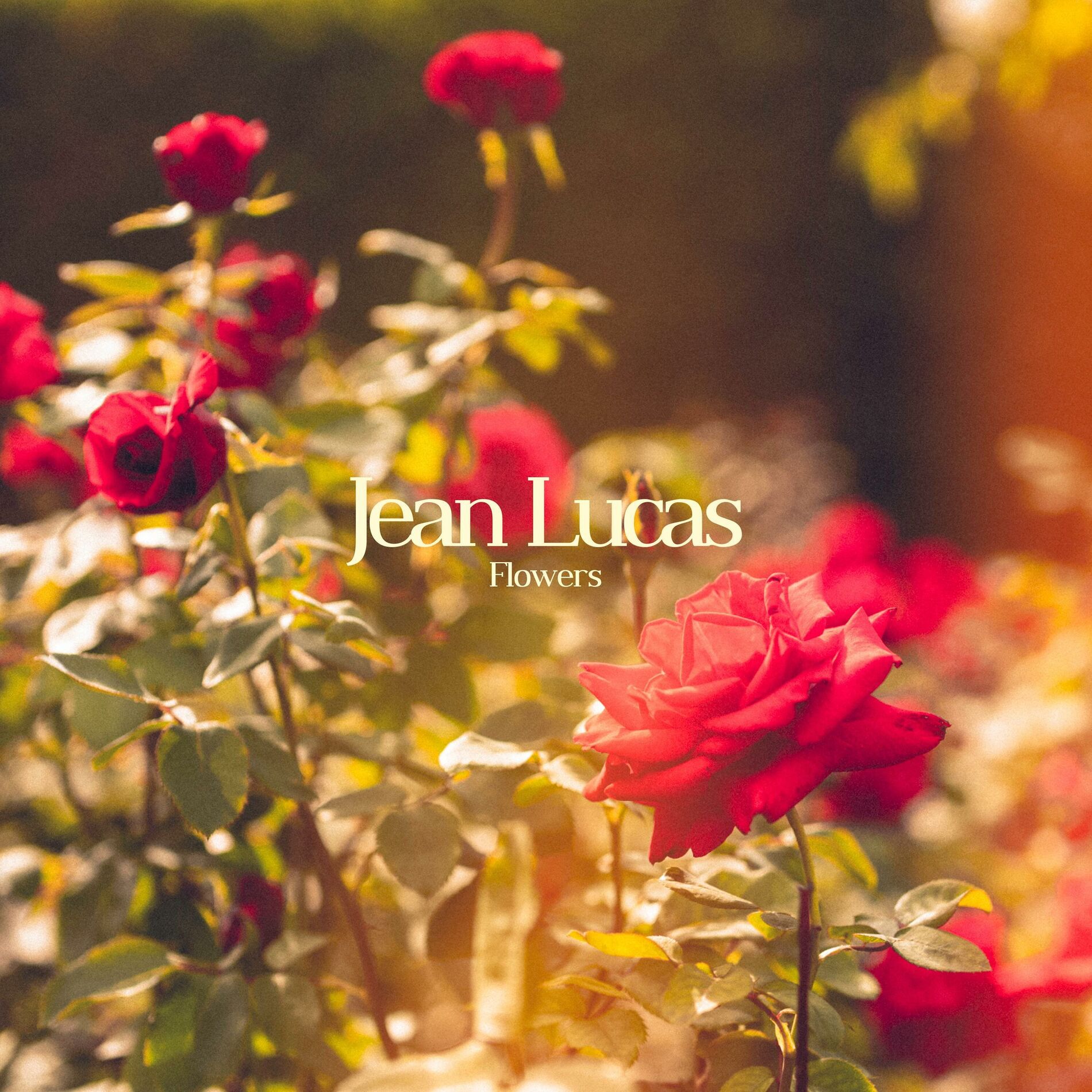 Album cover of Flowers