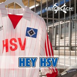 Cover of Hey HSV