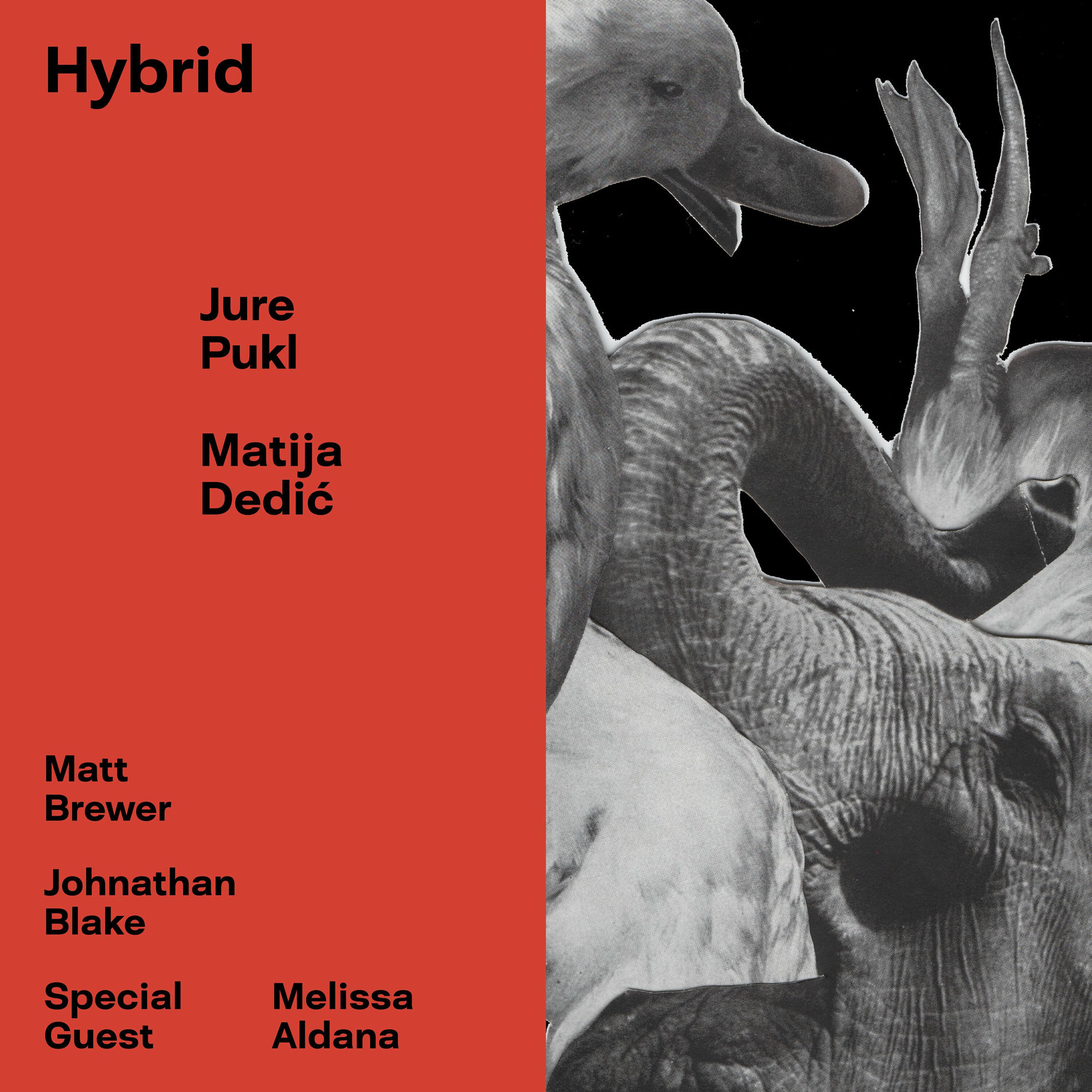 Album cover of Hybrid