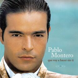 Cover of Que Voy A Hacer Sin Ti