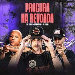 PROCURA NA REVOADA
