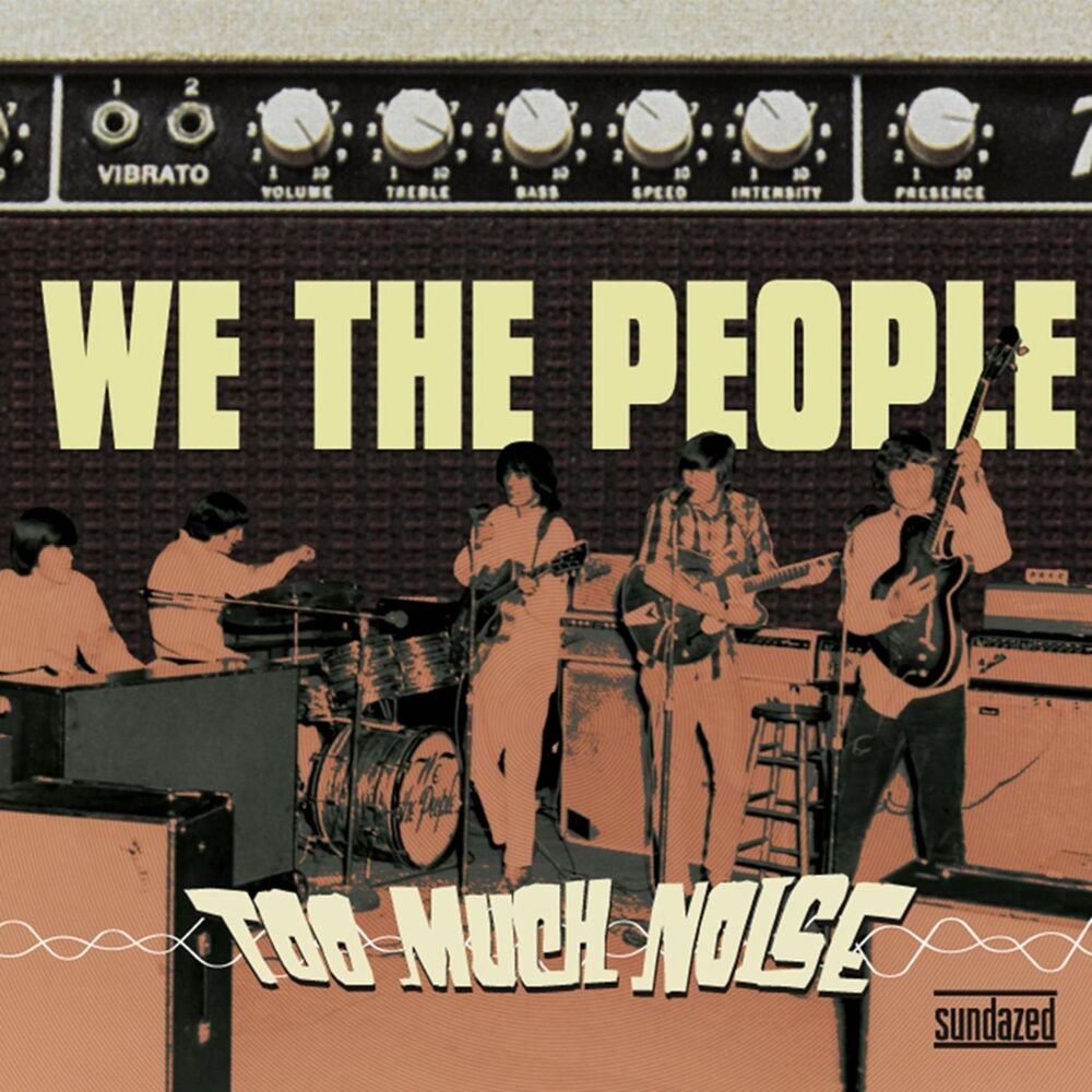Picture of Too Much Noise