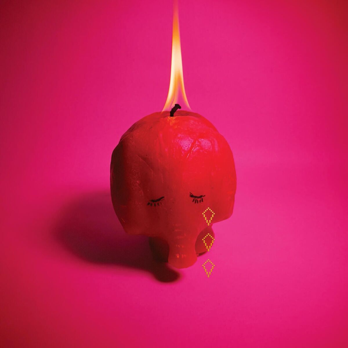 Album cover of Year of the Snake