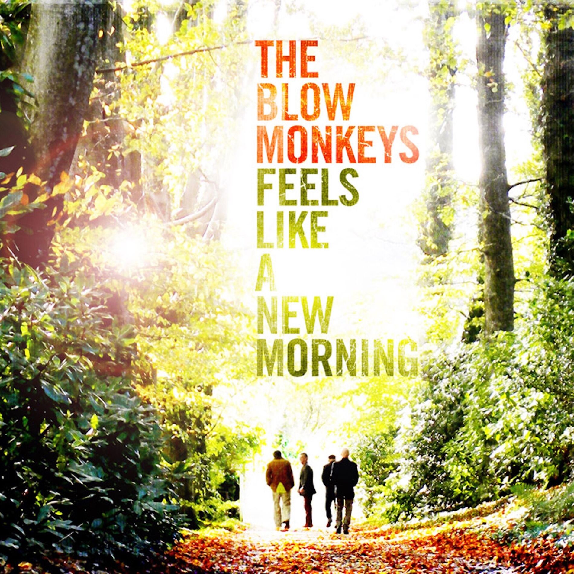 Album cover of Feels Like a New Morning