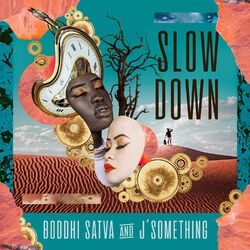 Cover of Slow Down