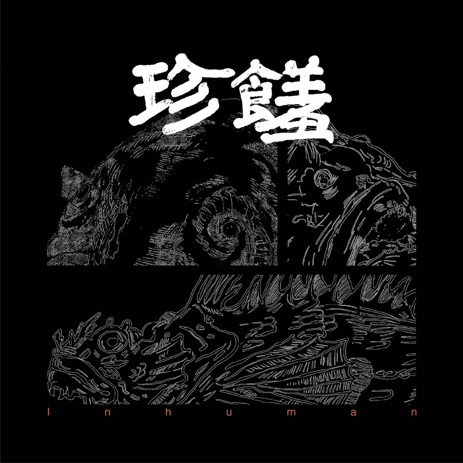 Album cover of Delicacy