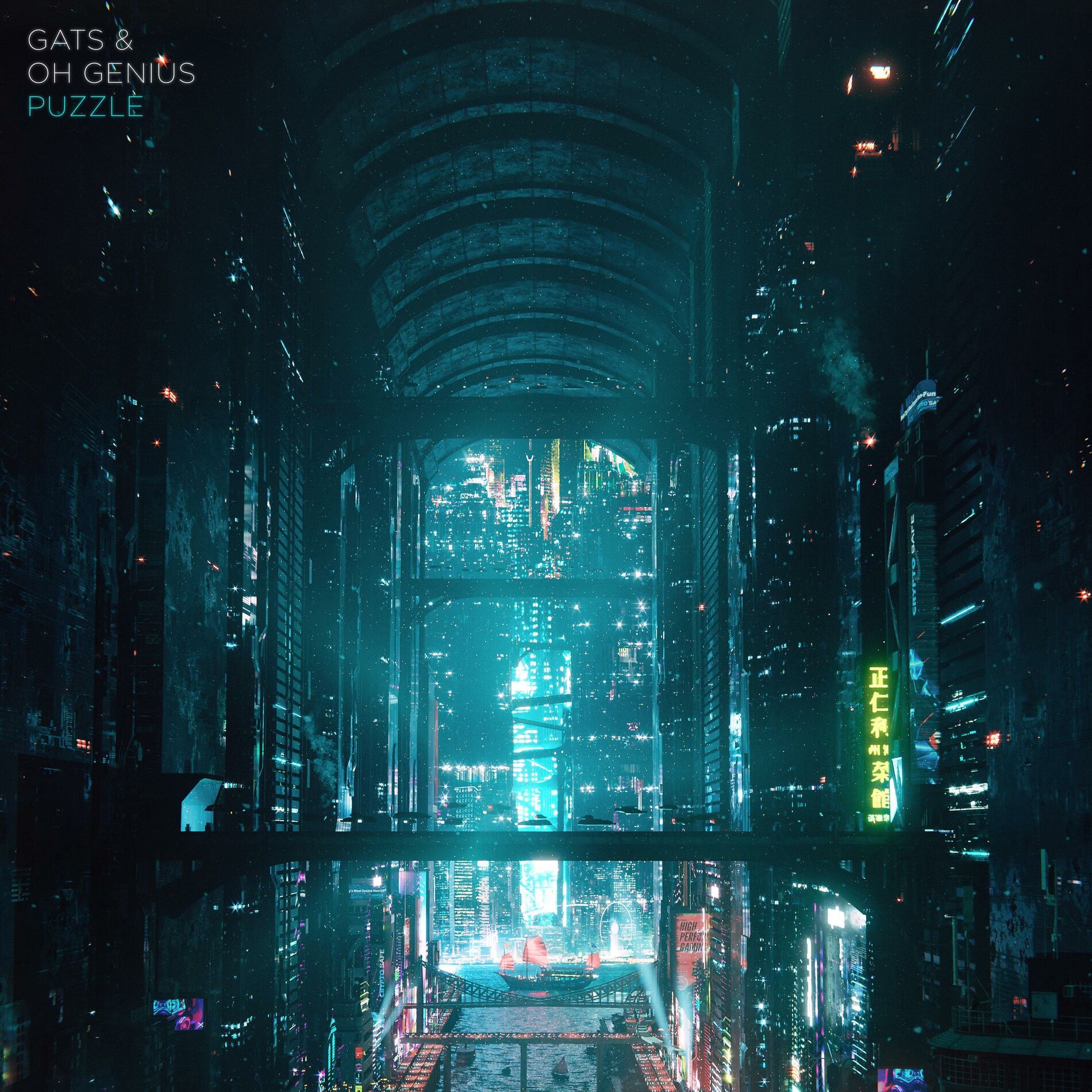 Album cover of Puzzle