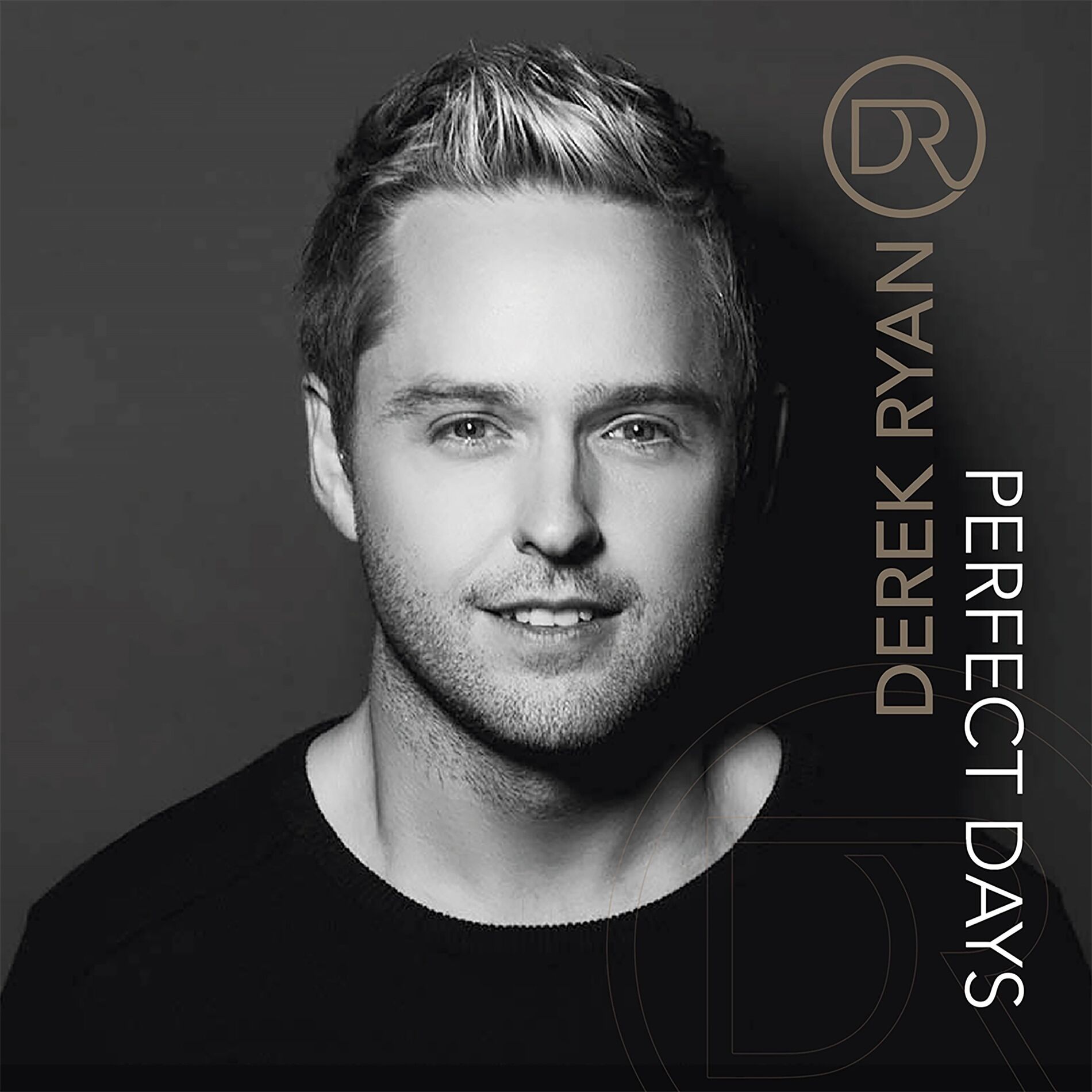 Album cover of Perfect Days