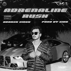 Cover of Adrenaline Rush
