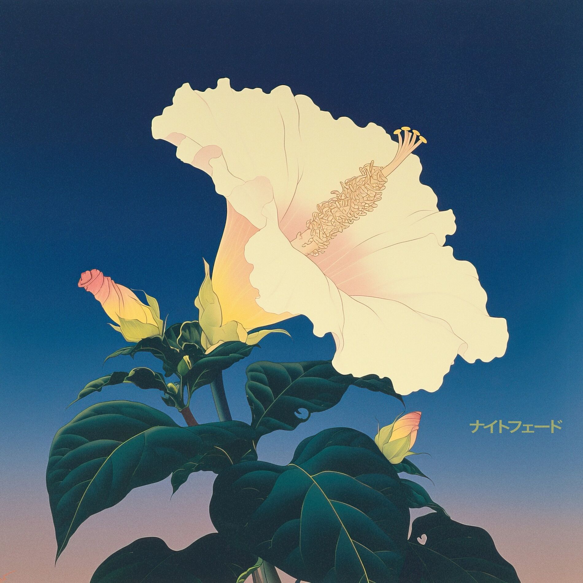 Album cover of nightfade