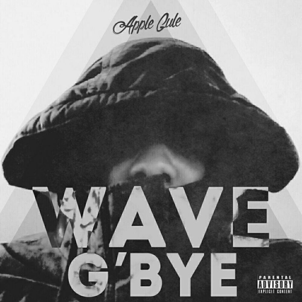 Picture of Wave G'Bye
