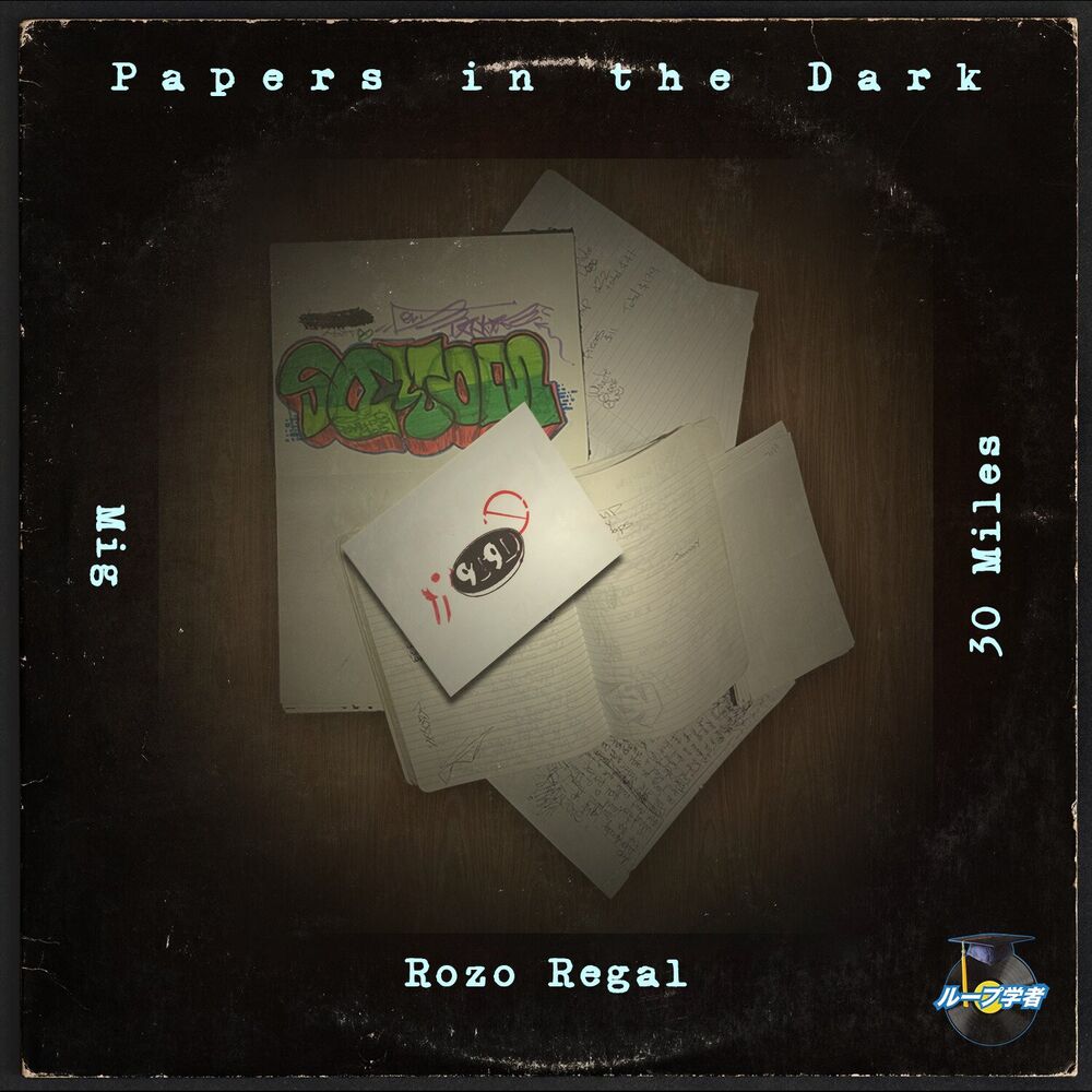 Picture of Papers in the Dark