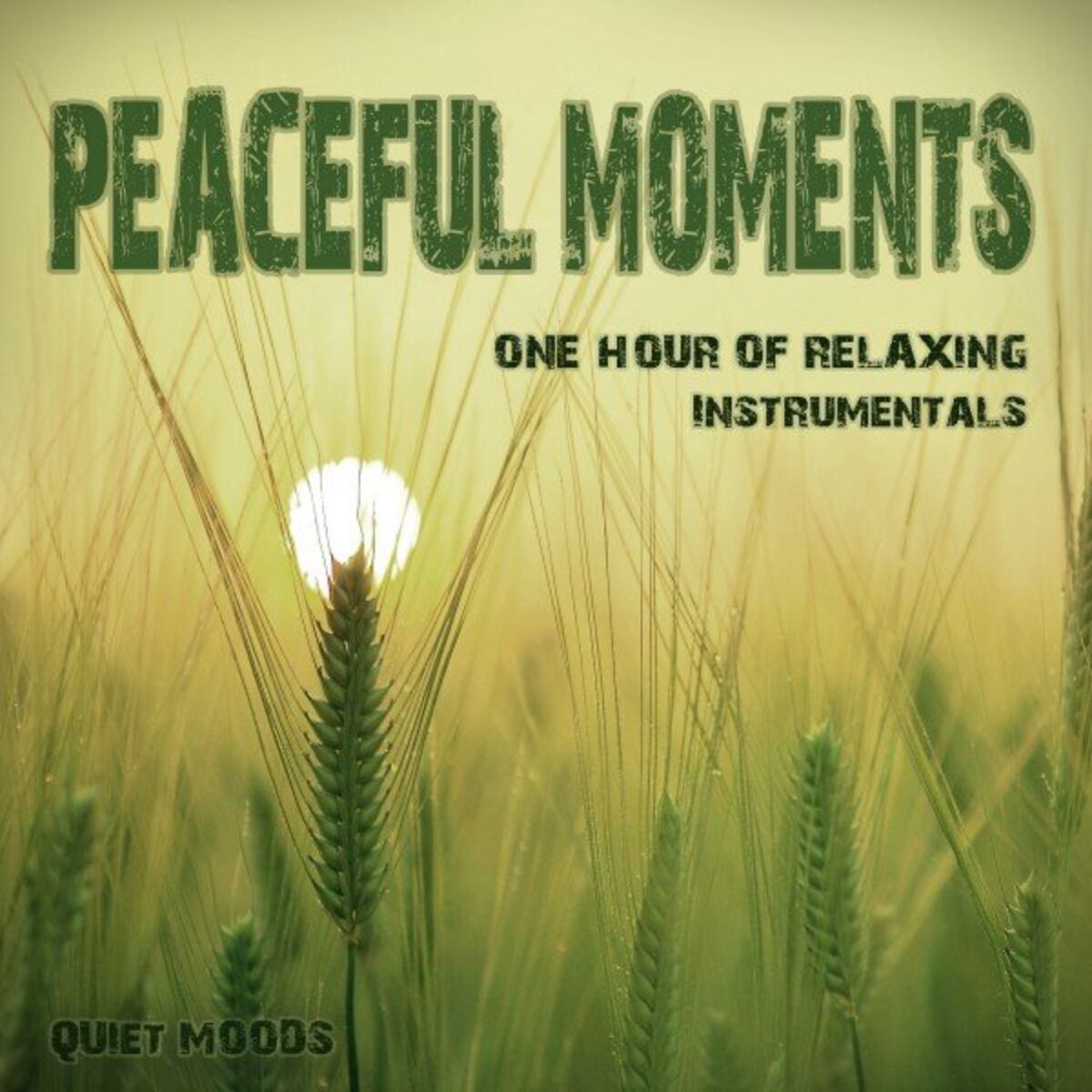 Album cover of Peaceful Moments (One Hour of Relaxing Instrumentals)