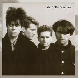 Cover of Echo & The Bunnymen