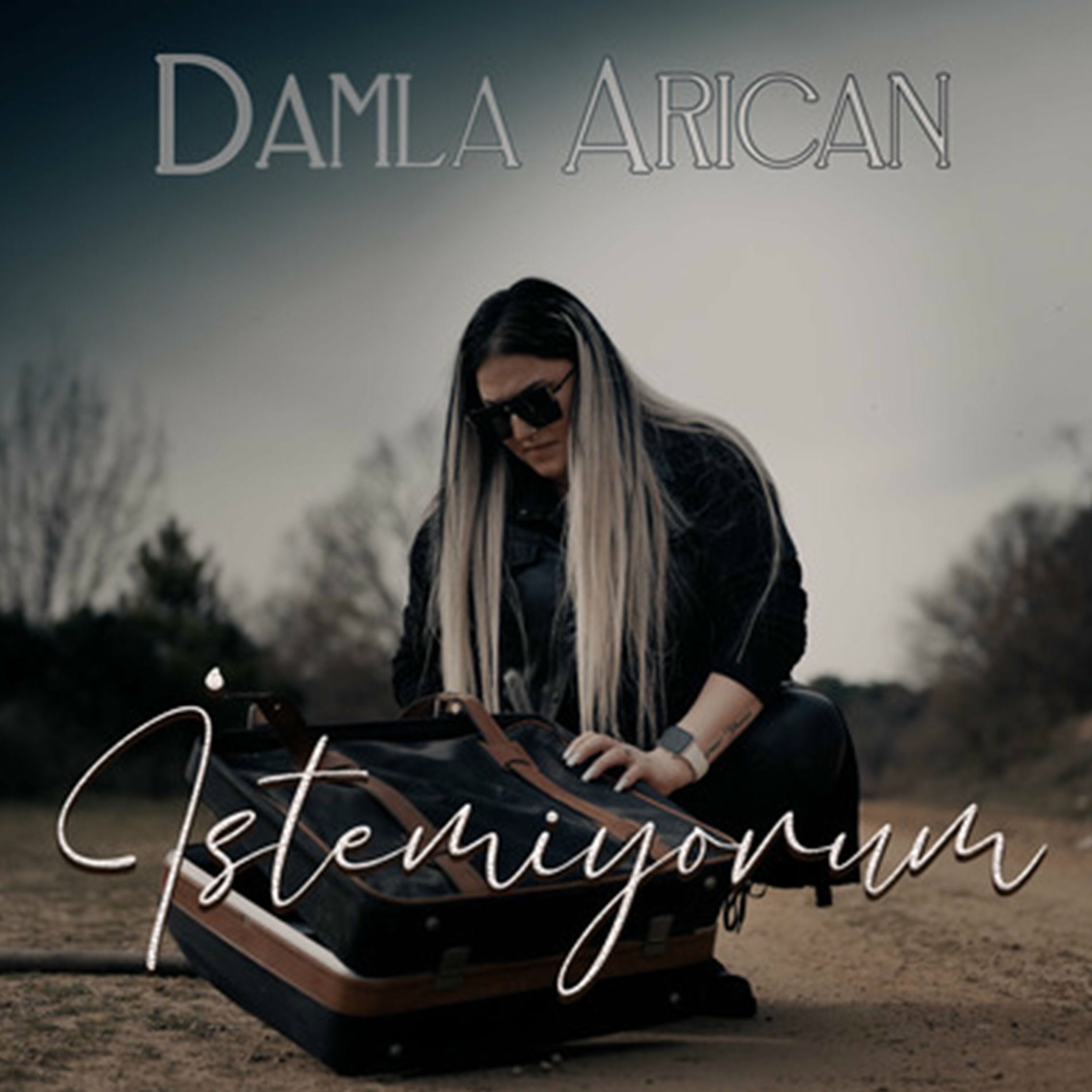Album cover of İstemiyorum