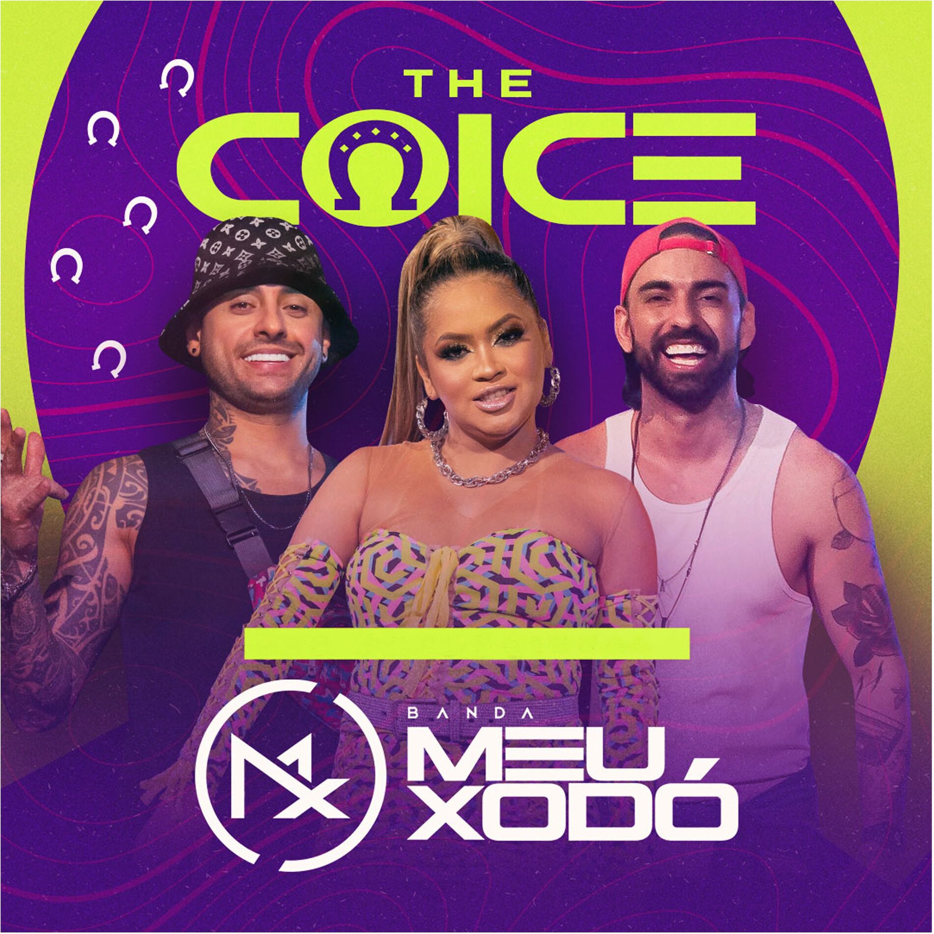 Album cover of The Coice