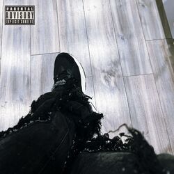 Cover of BakBone