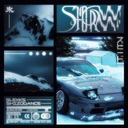 Cover of SNOWSTORM
