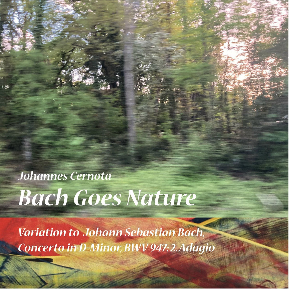 Album cover of Bach Goes Nature, Variation to J.S.Bach, Concerto in D-Minor, BWV947: 2. Adagio
