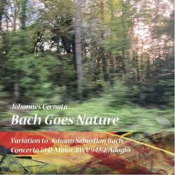 Cover of Bach Goes Nature, Variation to J.S.Bach, Concerto in D-Minor, BWV947: 2. Adagio