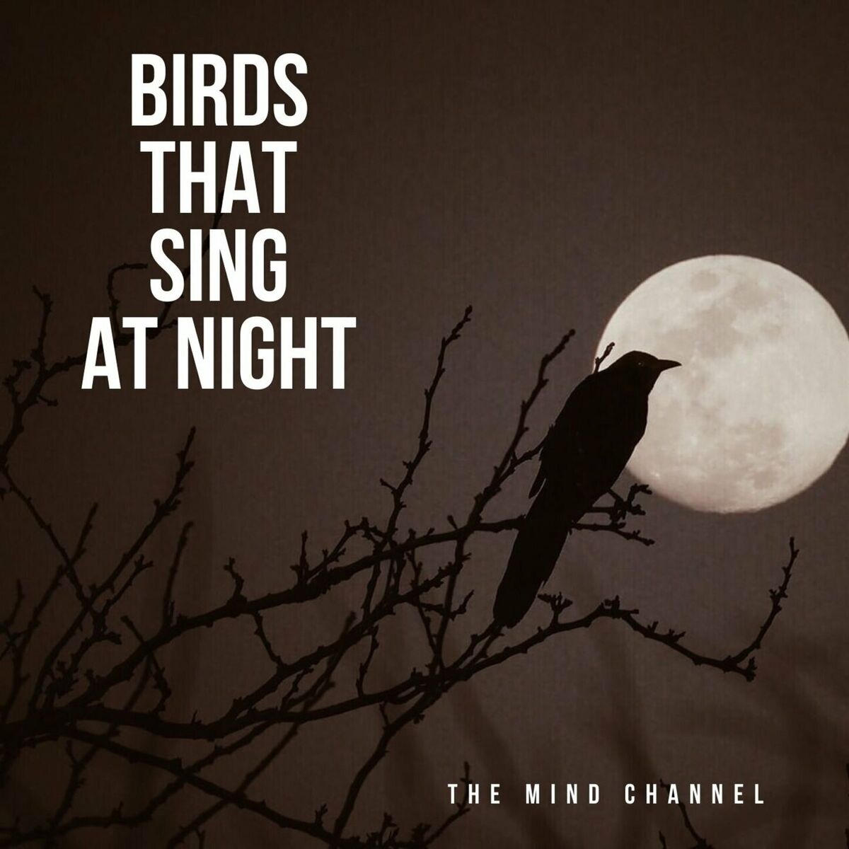 Album cover of Birds That Sing at Night
