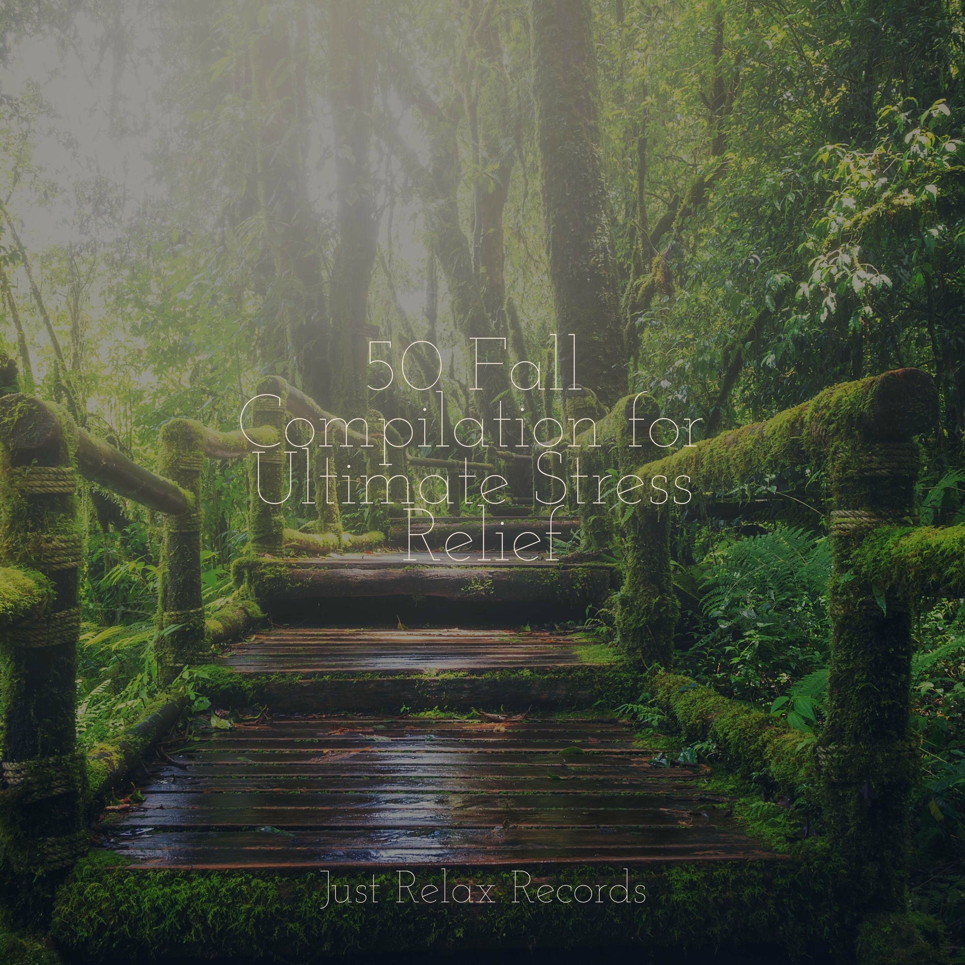 Album cover of 50 Fall Compilation for Ultimate Stress Relief