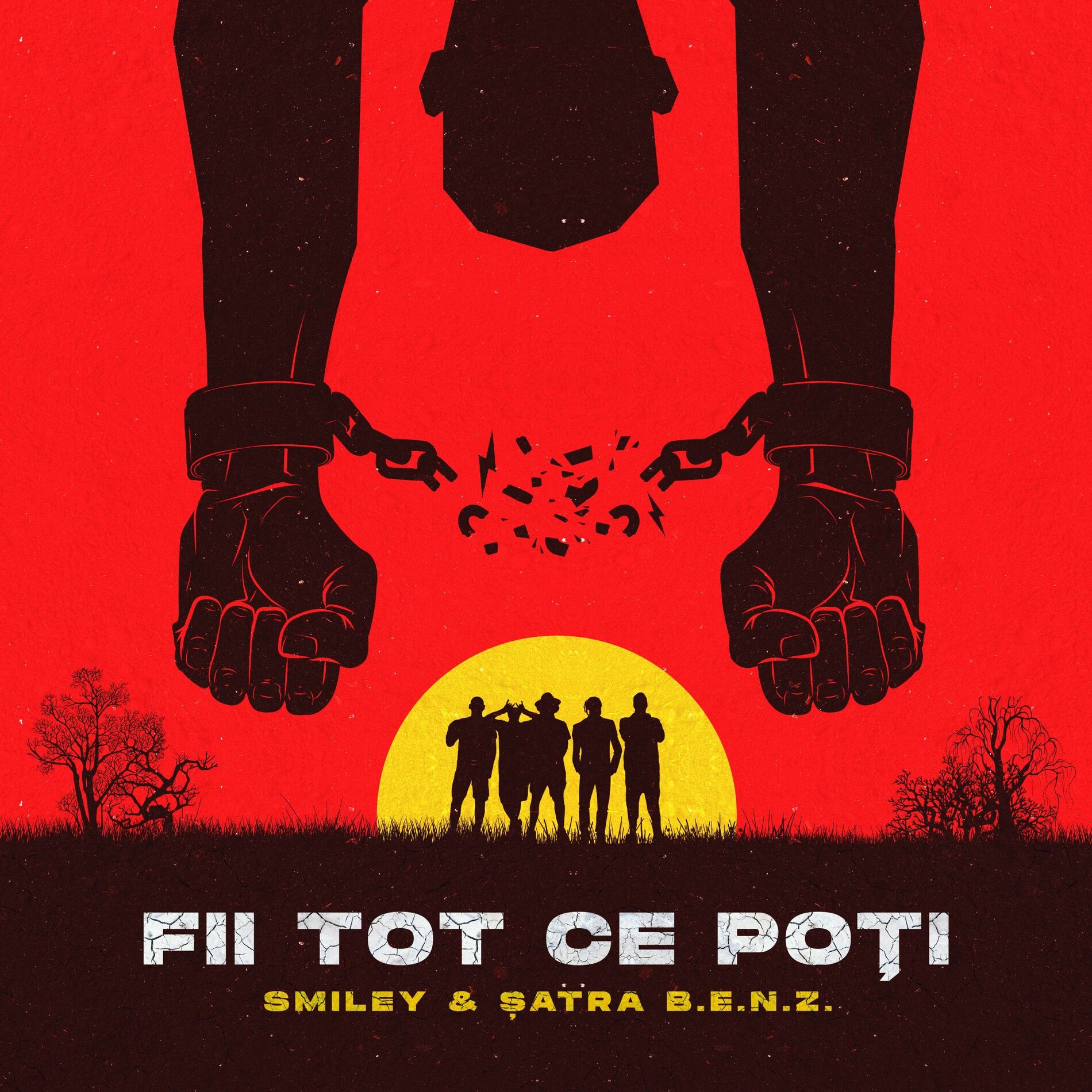 Album cover of Fii tot ce poti