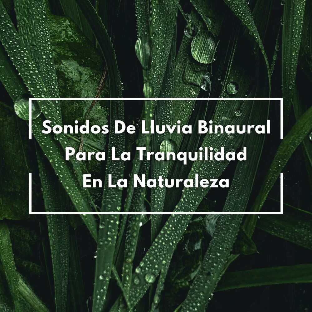 Picture of Sonidos De Lluvia Binaural Para La Tranquilidad En La Naturaleza