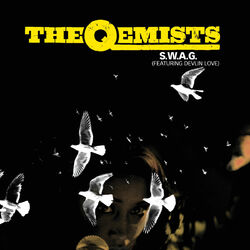 Cover of S.W.A.G.