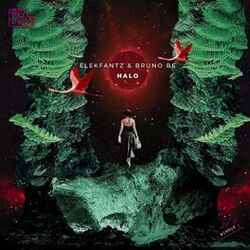 Cover of HALO