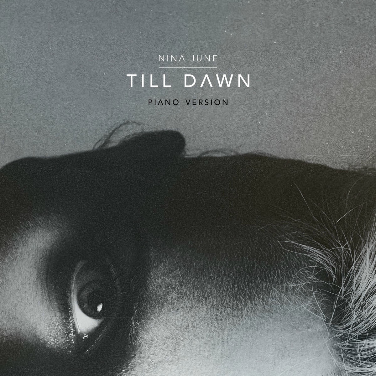 Album cover of Till Dawn (Piano Solo)