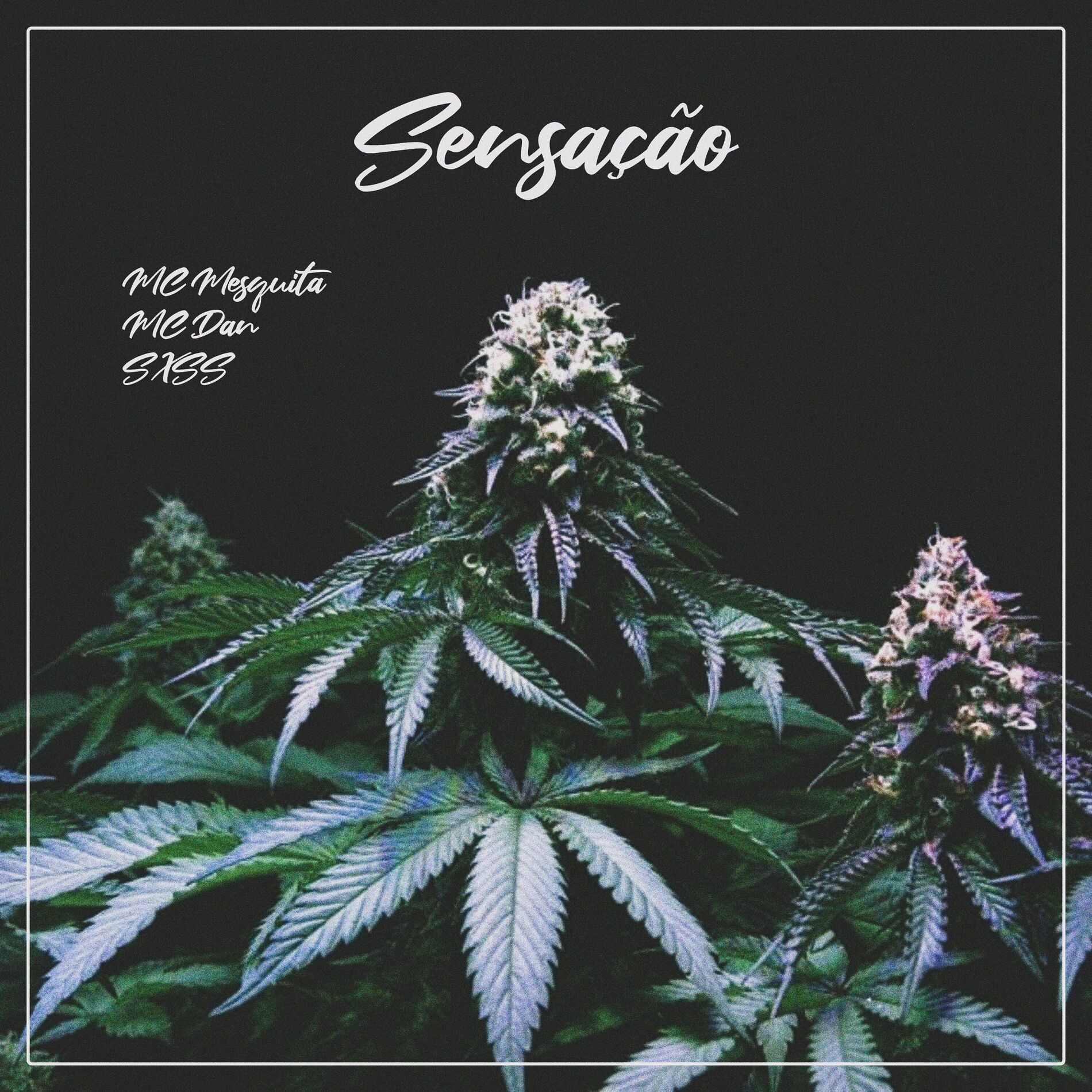 Album cover of Sensação